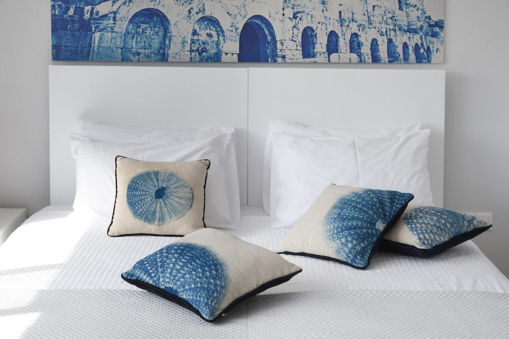 Cushions with sea urchins cyanotype